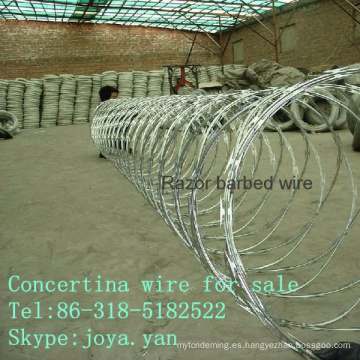 Concertina wire para la venta